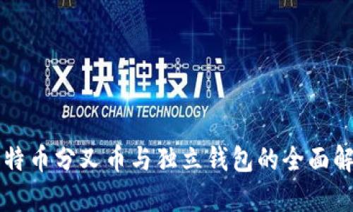 比特币分叉币与独立钱包的全面解析