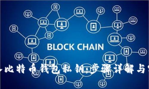 如何导入比特币钱包私钥：步骤详解与实用技巧