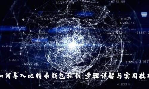 如何导入比特币钱包私钥：步骤详解与实用技巧
