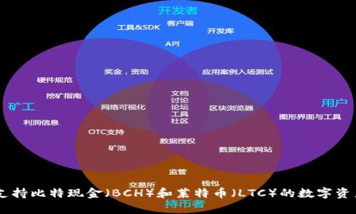 Tokenim 2.0：支持比特现金（BCH）和莱特币（LTC）的数字资产存储平台分析
