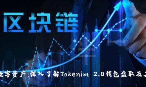 保护您的数字资产：深入了解Tokenim 2.0钱包盗取及其防范措施
