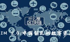TokenIM 2.0：中国领先的数字