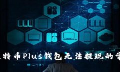  解决比特币Plus钱包无法提
