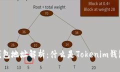 ### Tokenim钱包地址解析：什