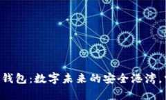 Hpy虚拟数字币钱包：数字未来的安全港湾，掌握