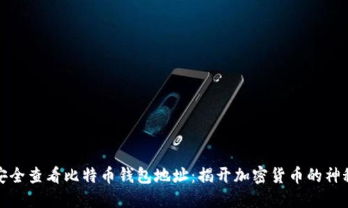 如何安全查看比特币钱包地址：揭开加密货币的神秘面纱