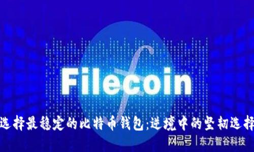 选择最稳定的比特币钱包：逆境中的坚韧选择