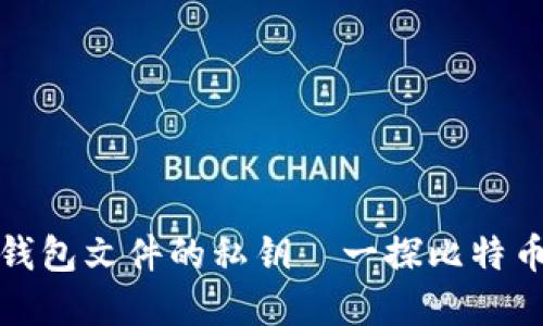 如何找到比特币钱包文件的私钥—一探比特币世界的神秘面纱