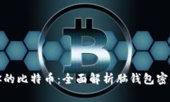 如何保护你的比特币：全面解析脑钱包密码的安