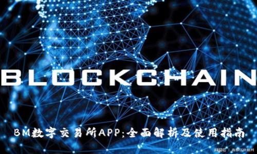 BM数字交易所APP：全面解析及使用指南