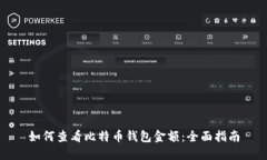 如何查看比特币钱包金额：全面指南