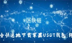 :如何安全快速地下载苹果USDT钱包：终极指南