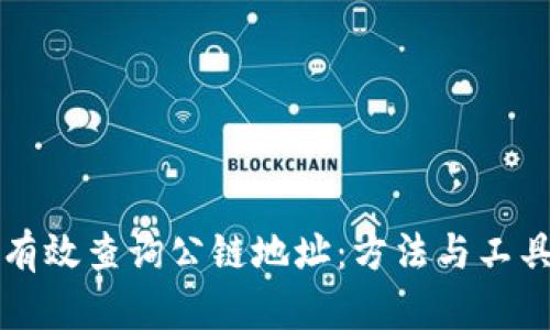 如何有效查询公链地址：方法与工具指南