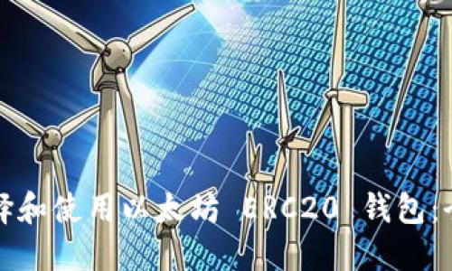 如何选择和使用以太坊 ERC20 钱包：全面指南