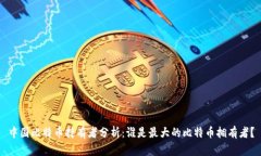 中国比特币持有者分析：谁是最大的比特币拥有
