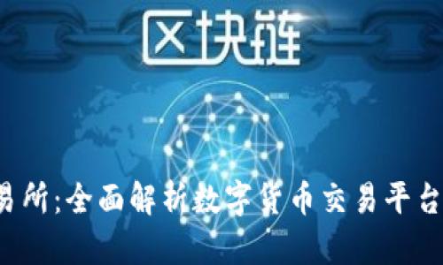 BitRocket交易所：全面解析数字货币交易平台的崛起与挑战