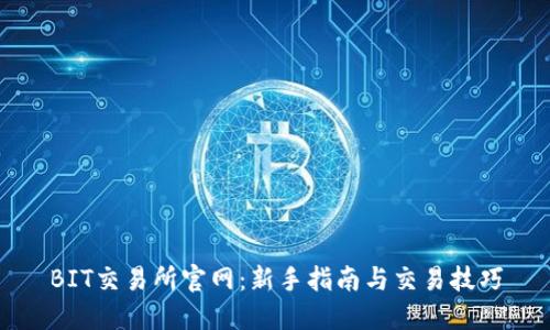 BIT交易所官网：新手指南与交易技巧