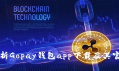 全面解析Gopay钱包app下载及其官网功能