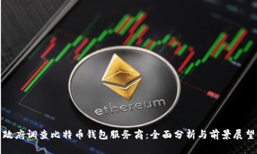 政府调查比特币钱包服务商：全面分析与前景展望