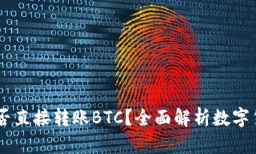 USDT钱包能否直接转账BTC？全面解析数字货币转账机制