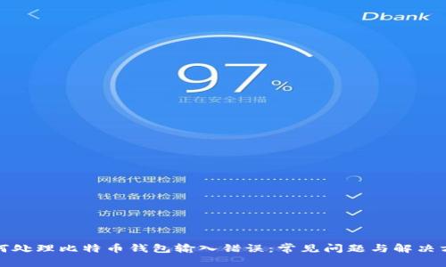 如何处理比特币钱包输入错误：常见问题与解决方案