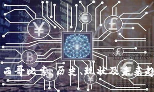 了解墨西哥比索：历史、现状及未来趋势分析