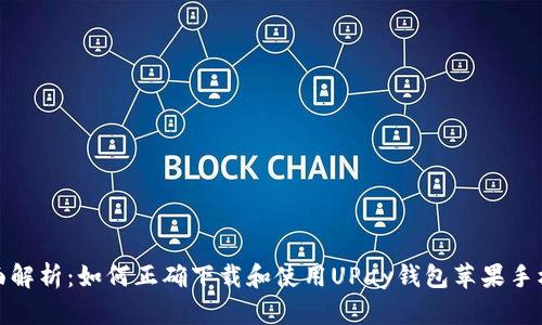 全面解析：如何正确下载和使用UPay钱包苹果手机版