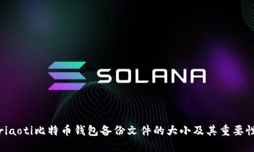 riaoti比特币钱包备份文件的大小及其重要性