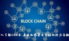 深入了解CCX币：未来加密货币市场的潜力与挑战