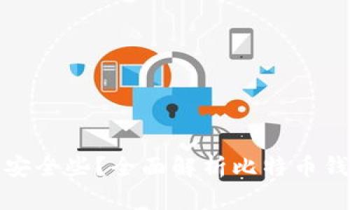 比特币存哪个钱包安全些？全面解析比特币钱包的选择与安全性