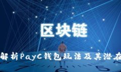 全面解析PayC钱包玩法及其潜在优势