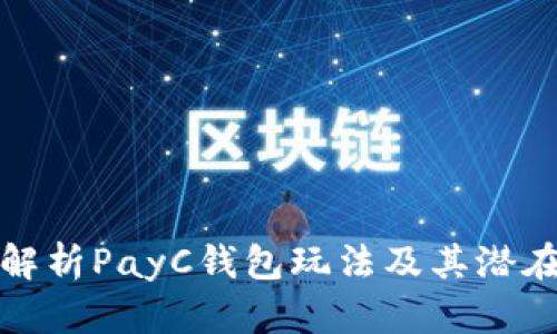 全面解析PayC钱包玩法及其潜在优势